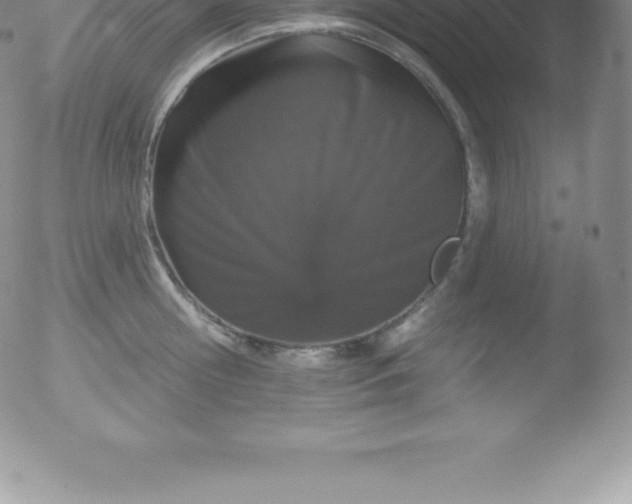 X0000051890810200507081937