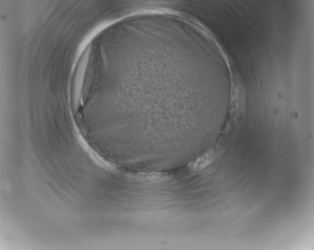 X0000051890811200507081937