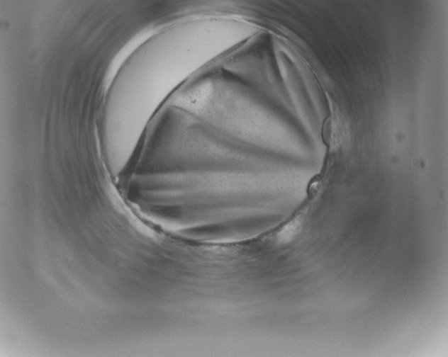 X0000051890812200507081937