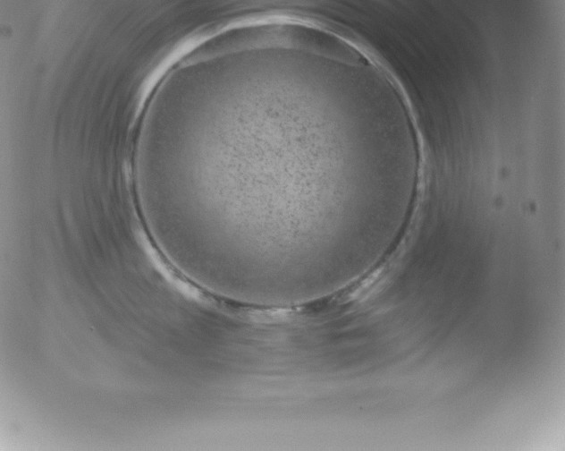 X0000051890813200507081937