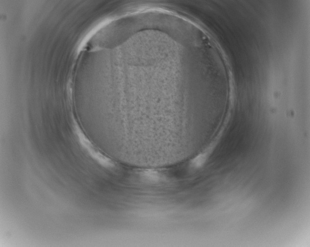 X0000051890814200507081937