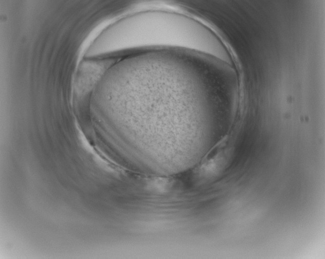 X0000051890815200507081937