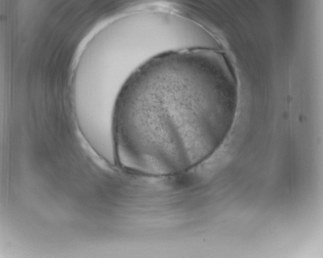 X0000051890816200507081937