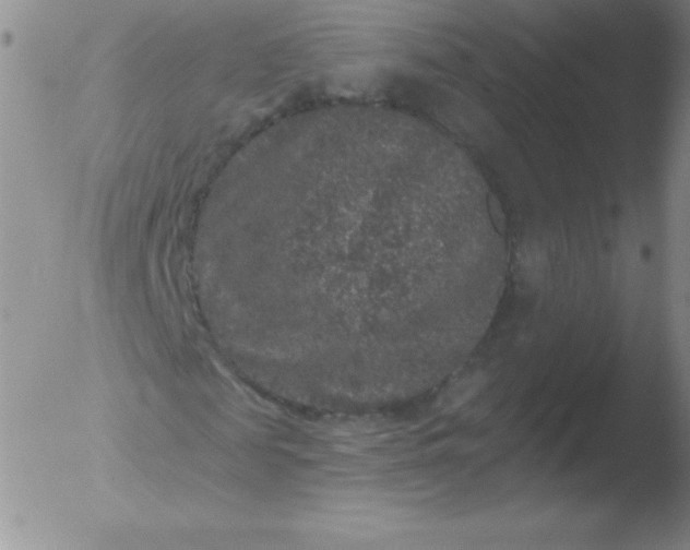 X0000051890817200507081936