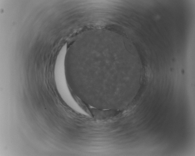 X0000051890818200507081936