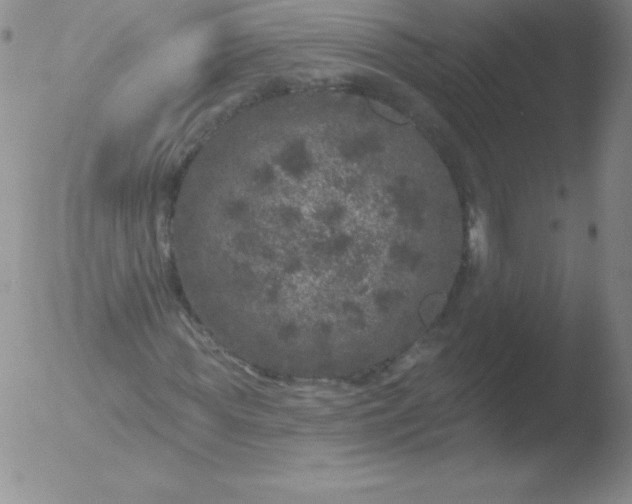 X0000051890819200507081936