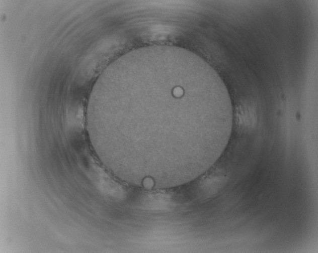 X0000051890820200507081936