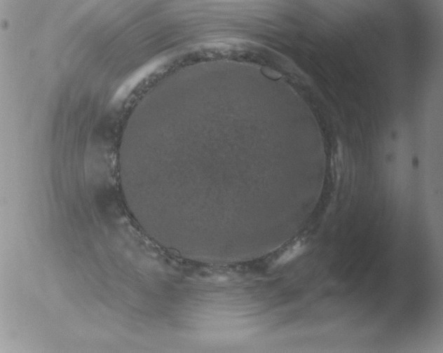 X0000051890822200507081936