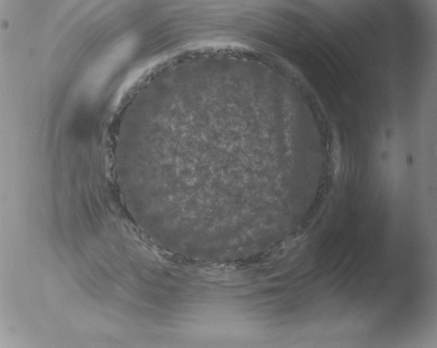 X0000051890823200507081936