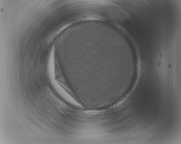 X0000051890825200507081936