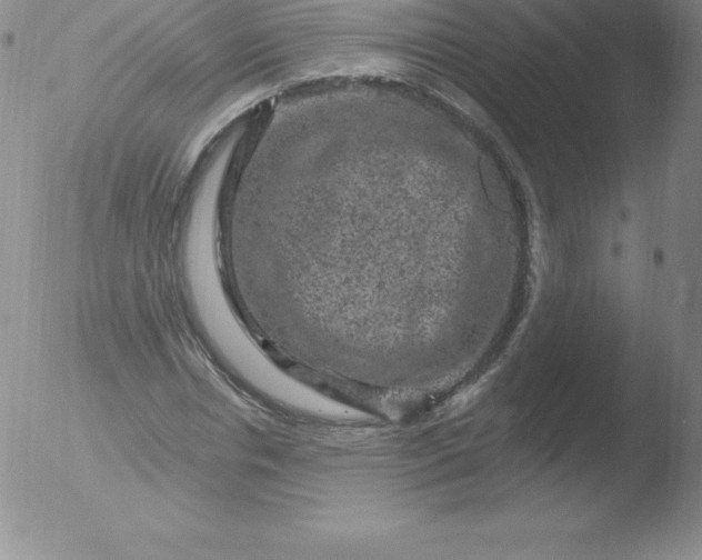 X0000051890826200507081936