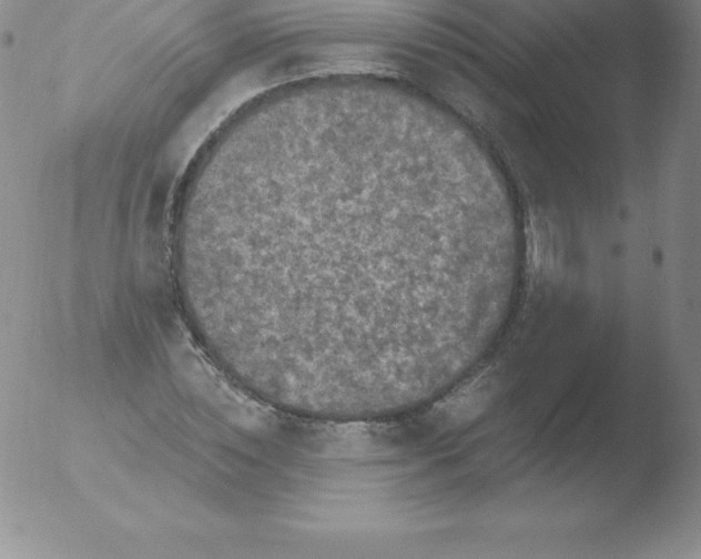 X0000051890828200507081936