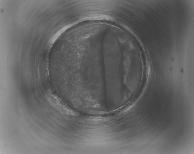 X0000051890829200507081936