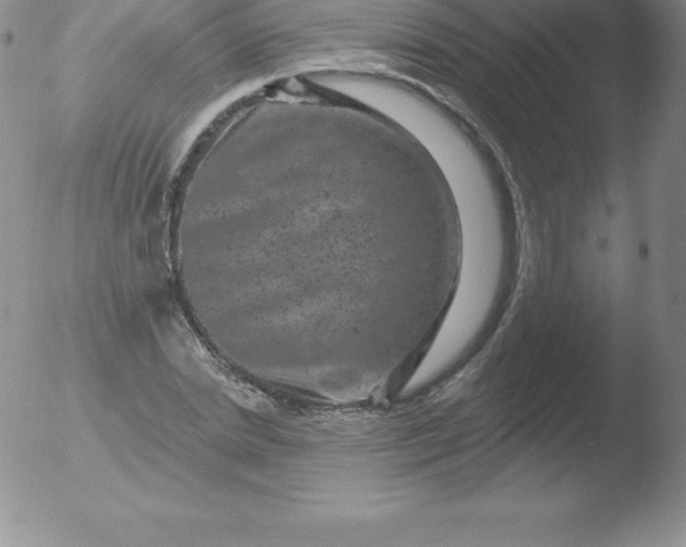 X0000051890830200507081936