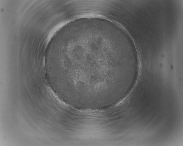 X0000051890831200507081936