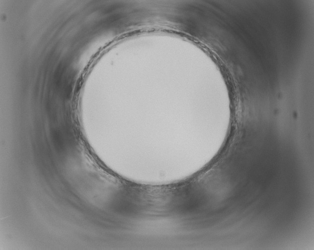 X0000051890832200507081936