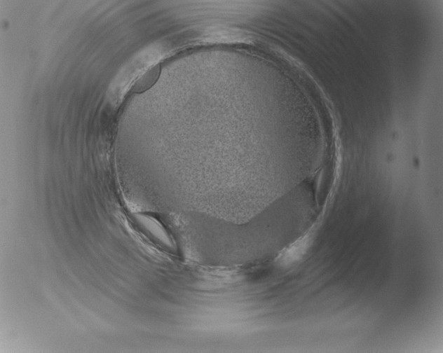 X0000051890833200507081936