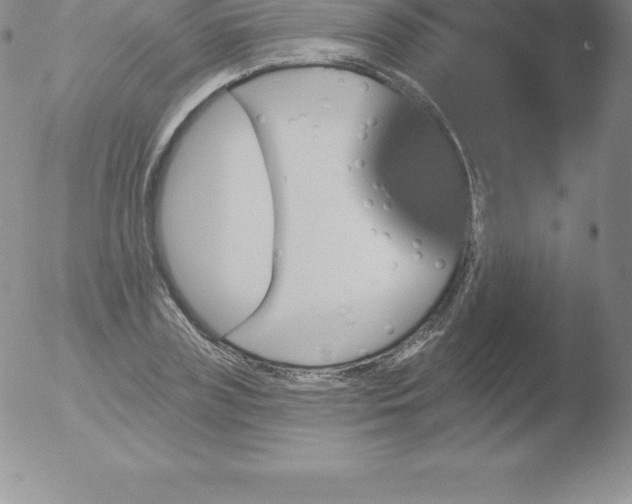 X0000051890835200507081936