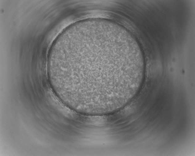 X0000051890836200507081936