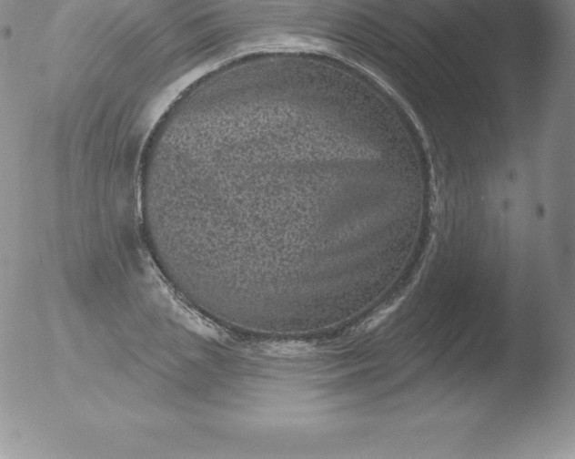 X0000051890837200507081936