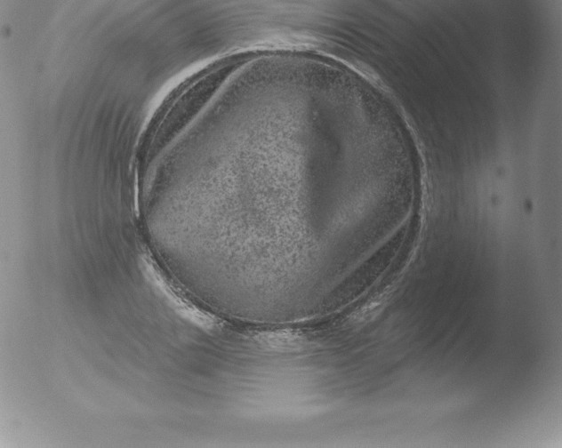 X0000051890838200507081937