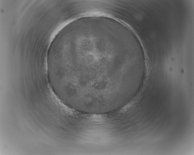 X0000051890839200507081937