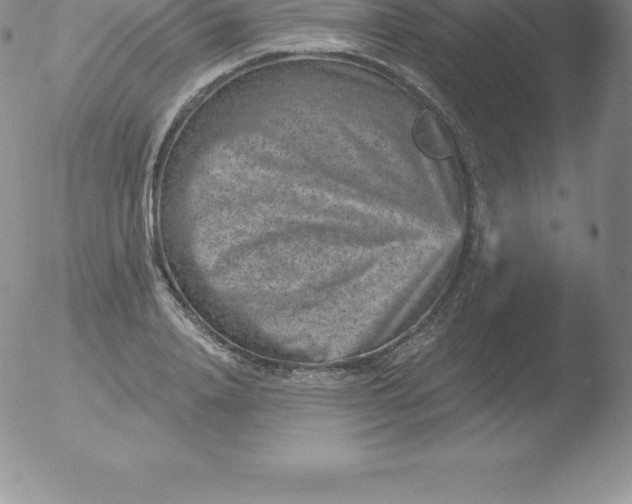 X0000051890840200507081937