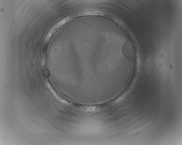 X0000051890841200507081937