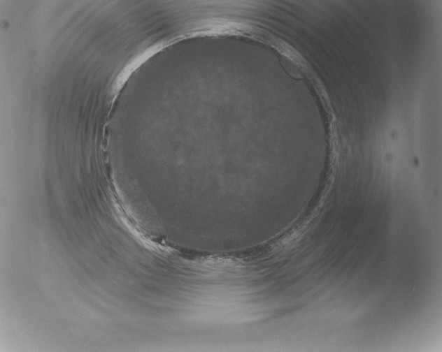 X0000051890842200507081937