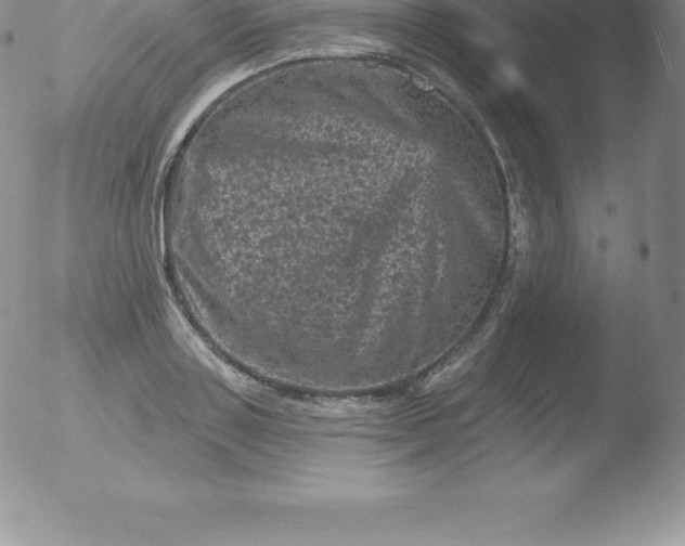 X0000051890843200507081937