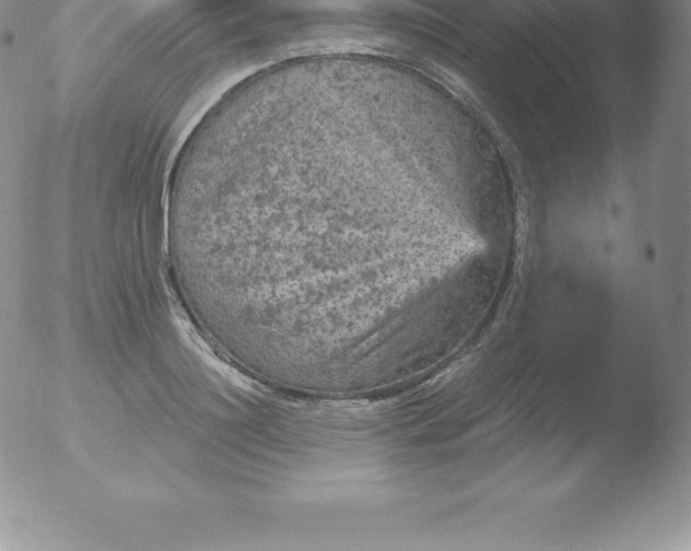 X0000051890844200507081937