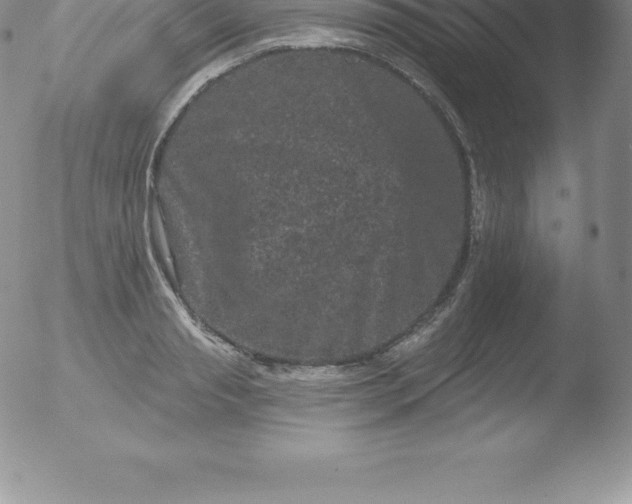 X0000051890845200507081937