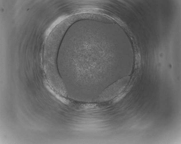 X0000051890846200507081937