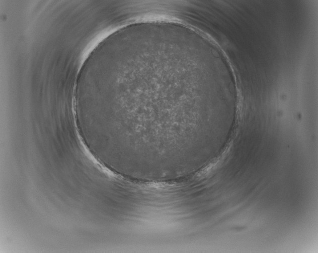 X0000051890847200507081937