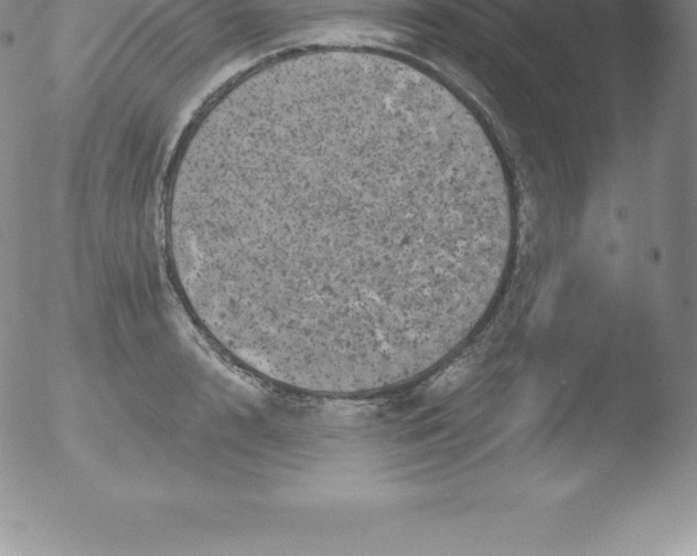 X0000051890848200507081937