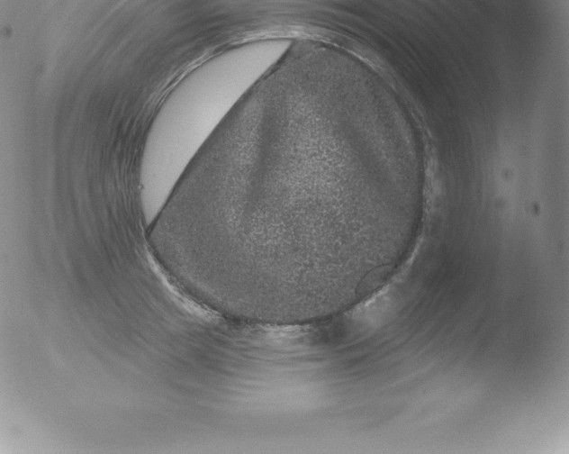 X0000051890849200507081937