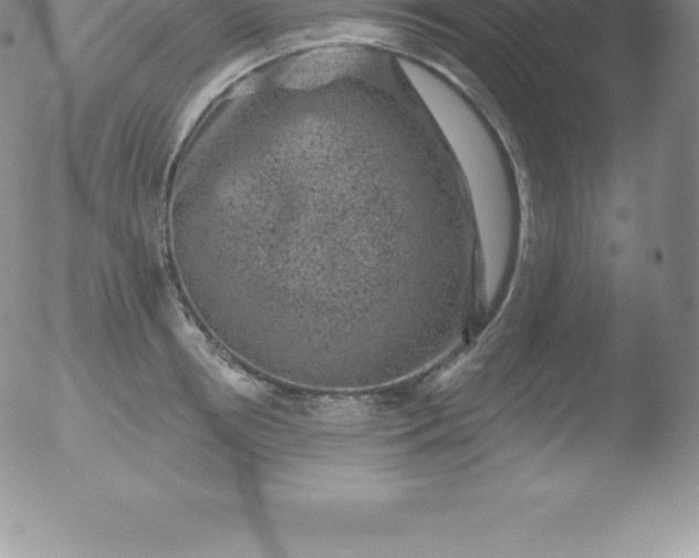 X0000051890850200507081937