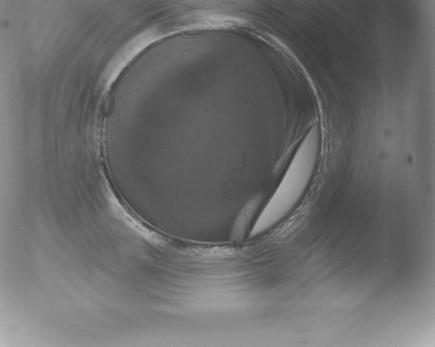 X0000051890851200507081937