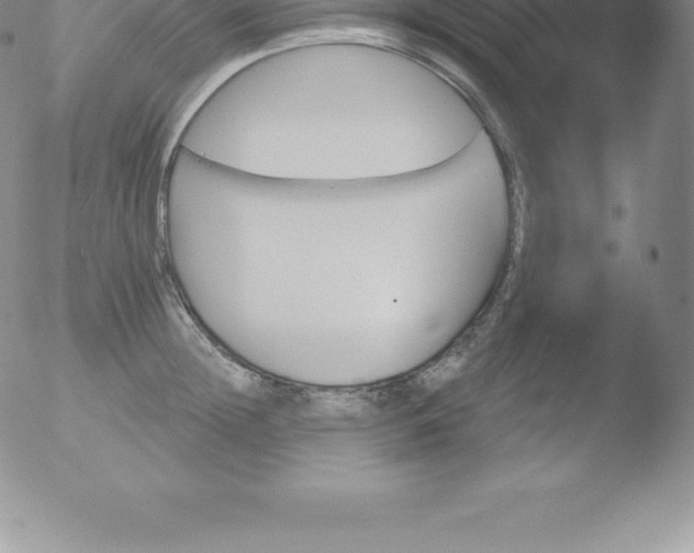 X0000051890852200507081937