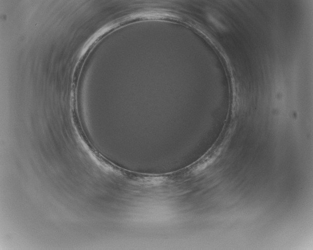 X0000051890853200507081937