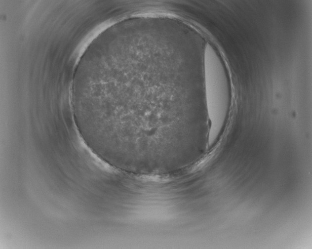 X0000051890855200507081937