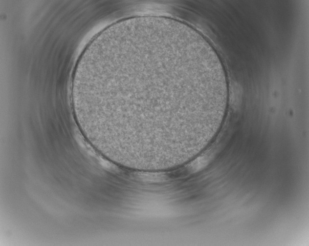 X0000051890856200507081937