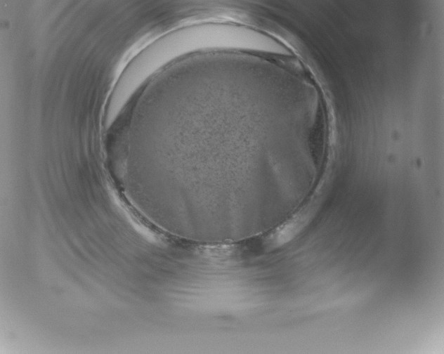 X0000051890858200507081937