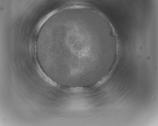 X0000051890859200507081937