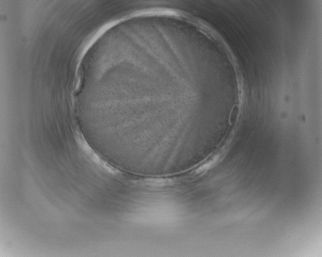 X0000051890860200507081937