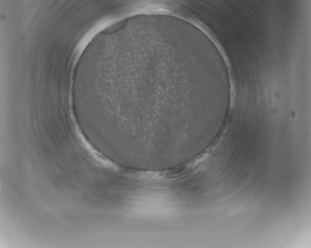 X0000051890861200507081937