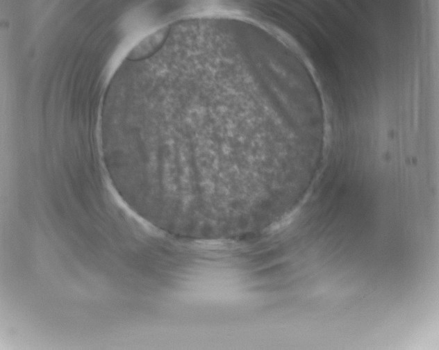 X0000051890863200507081937