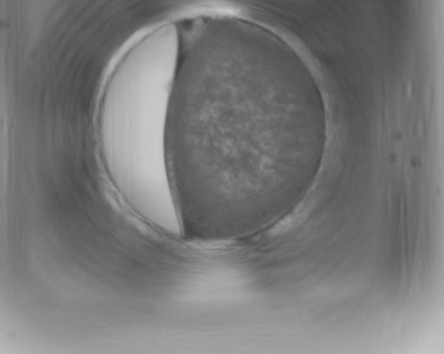 X0000051890864200507081937