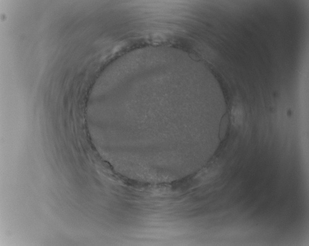 X0000051890865200507081936