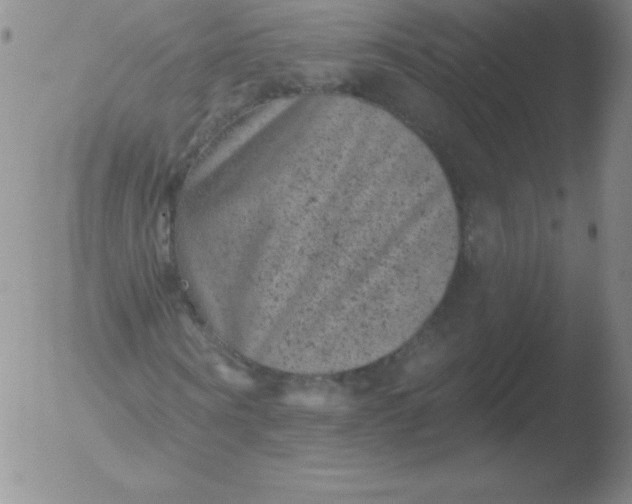 X0000051890866200507081936